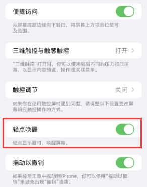 白朗苹果授权维修站分享iPhone轻点无法唤醒怎么办 