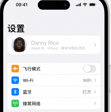 白朗appleID维修服务iPhone设置中Apple ID显示为灰色无法使用 