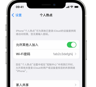 白朗apple服务站点分享iPhone上个人热点丢失了怎么办 