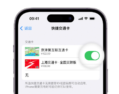 白朗apple维修点分享iPhone上更换Apple Pay快捷交通卡手绘卡面 