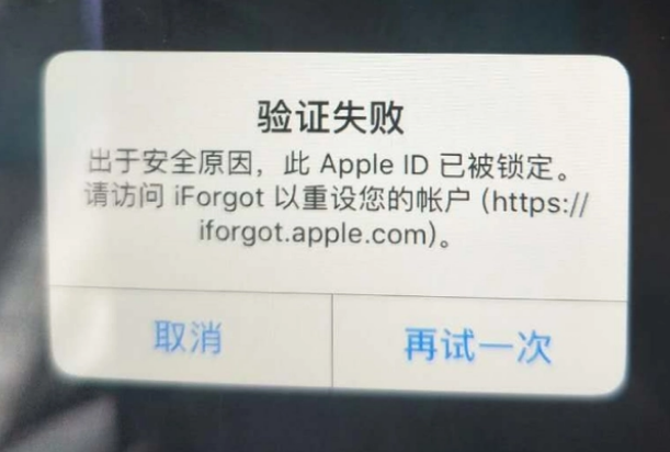 白朗iPhone维修分享iPhone上正常登录或使用AppleID怎么办 