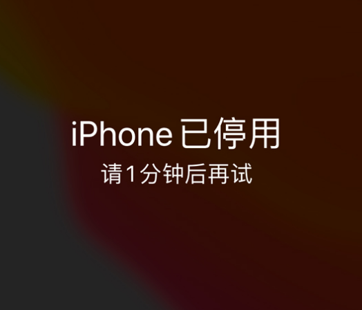 白朗苹果手机维修分享:iPhone 显示“不可用”或“已停用”怎么办？还能保留数据吗？ 