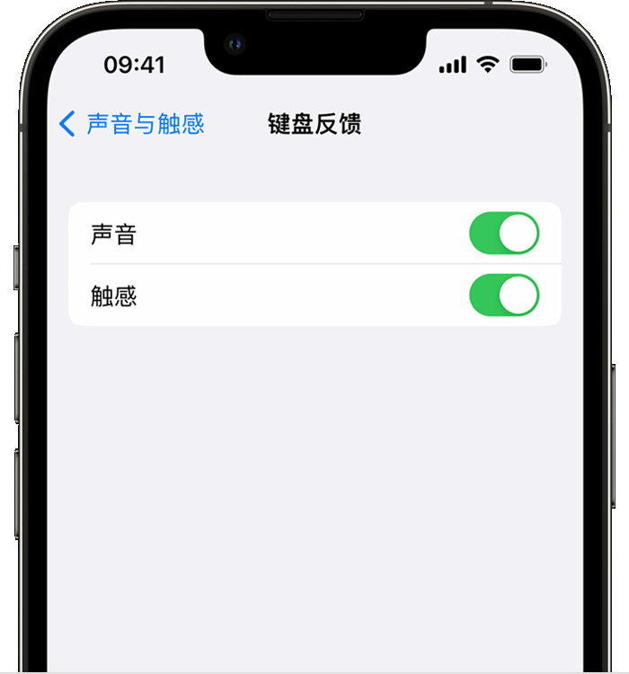 白朗苹果14维修店分享如何在 iPhone 14 机型中使用触感键盘 