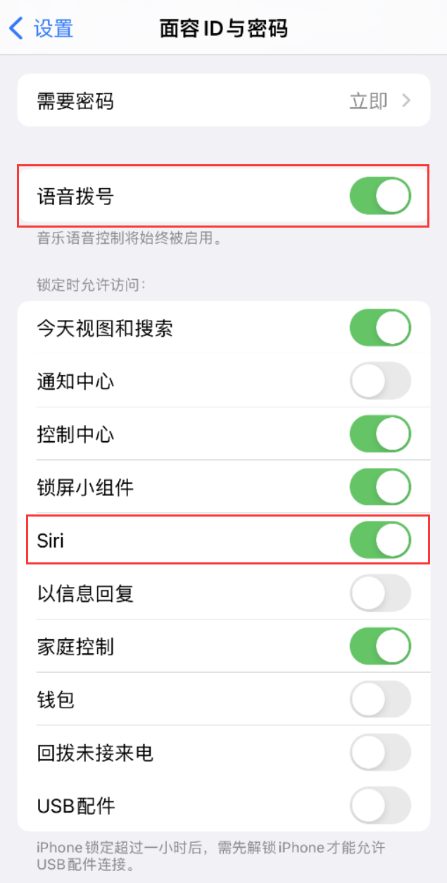 白朗苹果维修网点分享不解锁 iPhone 的情况下通过 Siri 拨打电话的方法 