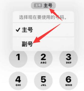 白朗苹果14维修店分享iPhone 14 Pro Max使用副卡打电话的方法 