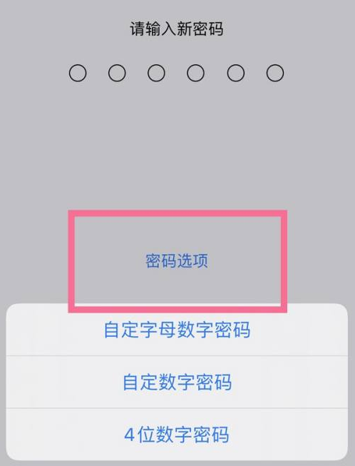 白朗苹果14维修分享iPhone 14plus设置密码的方法 