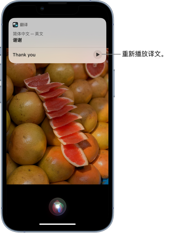 白朗苹果14维修分享 iPhone 14 机型中使用 Siri：了解 Siri 能帮你做什么 