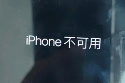 白朗苹果服务网点分享锁屏界面显示“iPhone 不可用”如何解决 