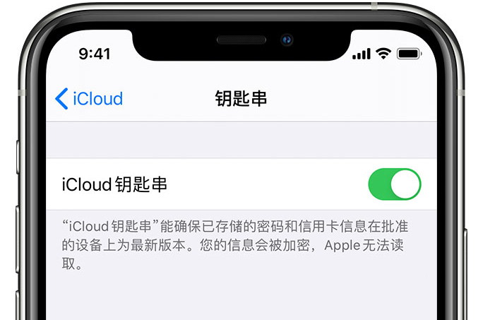 白朗苹果手机维修分享在 iPhone 上开启 iCloud 钥匙串之后会储存哪些信息 