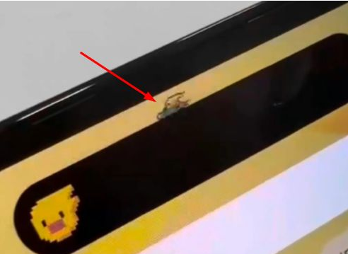 白朗苹果14维修分享iPhone 14 Pro Max灵动岛怎么养宠物 