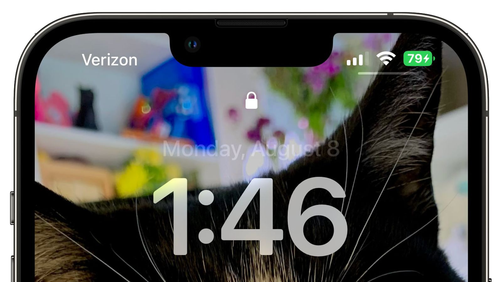 白朗苹果手机维修分享iOS 16 beta 5 支持状态栏显示电池百分比，如何开启？支持哪些机型 