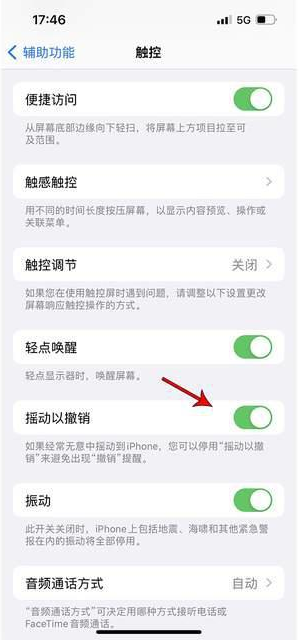 白朗苹果手机维修分享iPhone手机如何设置摇一摇删除文字 