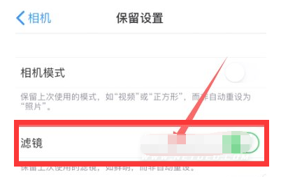 白朗苹果13维修分享iPhone13拍照有绿点是怎么回事 