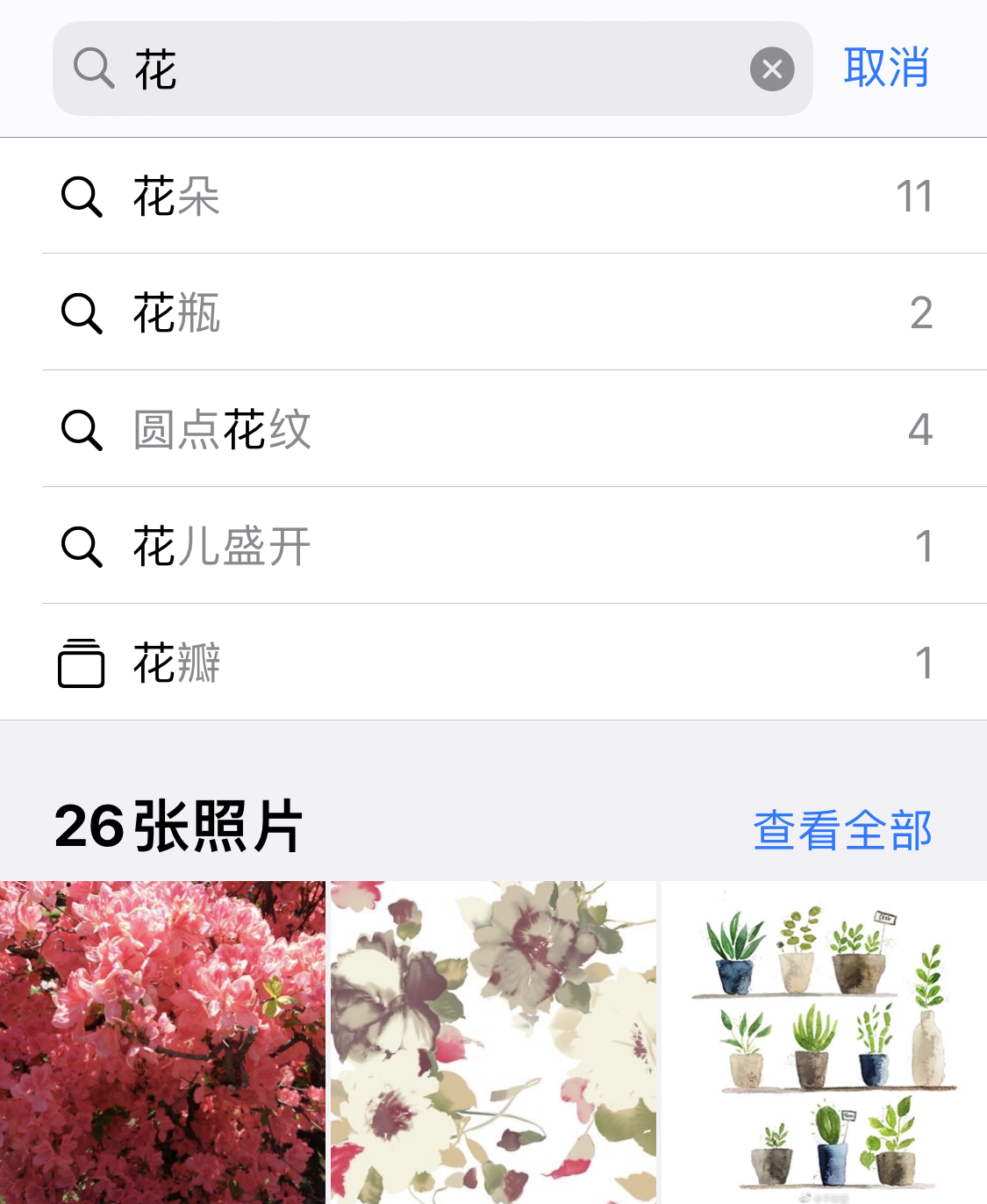白朗苹果手机维修分享iPhone 小技巧 