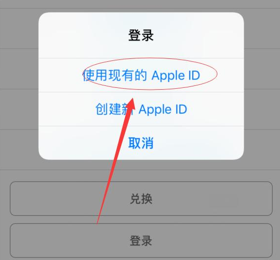 白朗苹果手机维修分享两台iPhone设备可以同时登录一个Apple ID吗 
