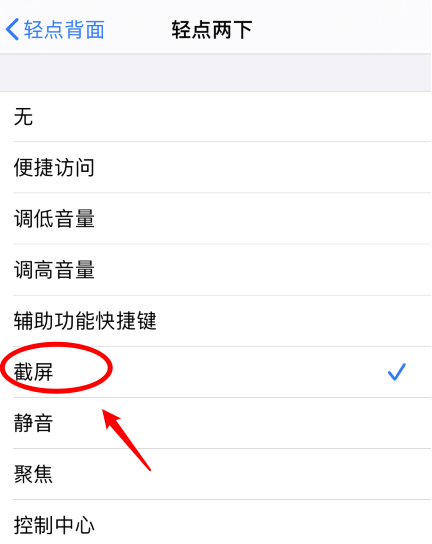 白朗苹果手机维修分享iPhone12如何启用双击截屏 