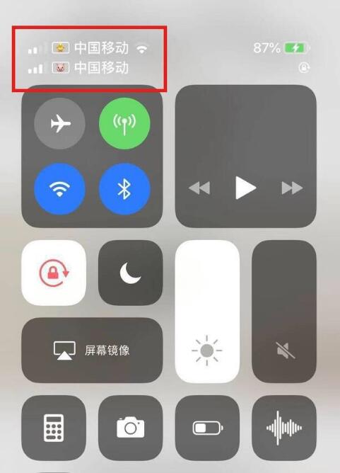 白朗苹果手机维修分享为 iPhone 12 双卡设置标签 