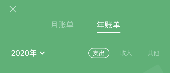 白朗苹果手机维修分享如何在 iPhone 上查看支付宝和微信年支出账单 